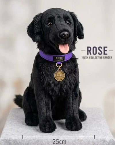 Rose Gear
